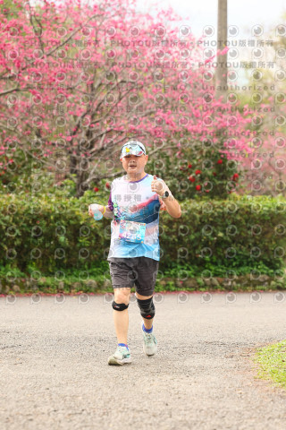 2026左岸竹東櫻花馬拉松Zhudong Sakura Marathon