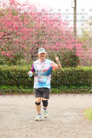 2026左岸竹東櫻花馬拉松Zhudong Sakura Marathon