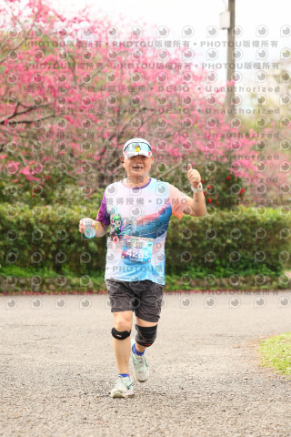 2026左岸竹東櫻花馬拉松Zhudong Sakura Marathon