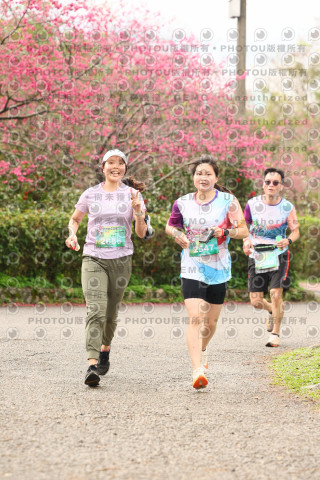 2026左岸竹東櫻花馬拉松Zhudong Sakura Marathon