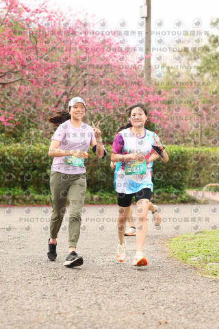 2026左岸竹東櫻花馬拉松Zhudong Sakura Marathon
