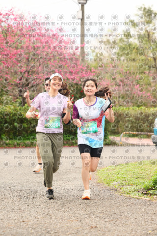 2026左岸竹東櫻花馬拉松Zhudong Sakura Marathon