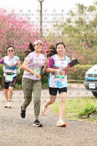 2026左岸竹東櫻花馬拉松Zhudong Sakura Marathon