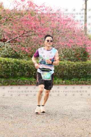 2026左岸竹東櫻花馬拉松Zhudong Sakura Marathon