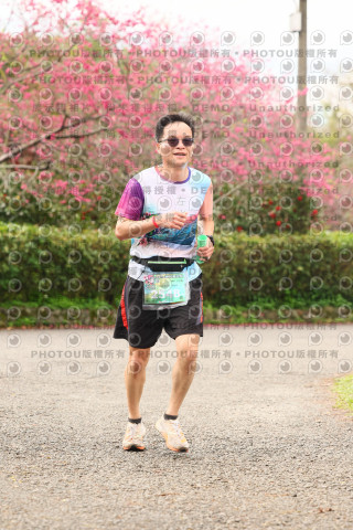 2026左岸竹東櫻花馬拉松Zhudong Sakura Marathon