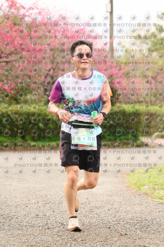 2026左岸竹東櫻花馬拉松Zhudong Sakura Marathon