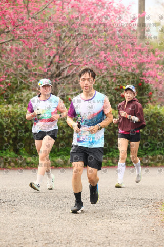 2026左岸竹東櫻花馬拉松Zhudong Sakura Marathon