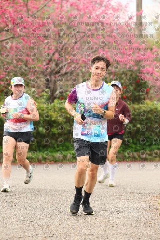 2026左岸竹東櫻花馬拉松Zhudong Sakura Marathon