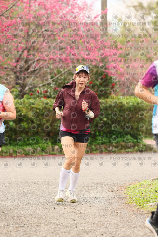2026左岸竹東櫻花馬拉松Zhudong Sakura Marathon