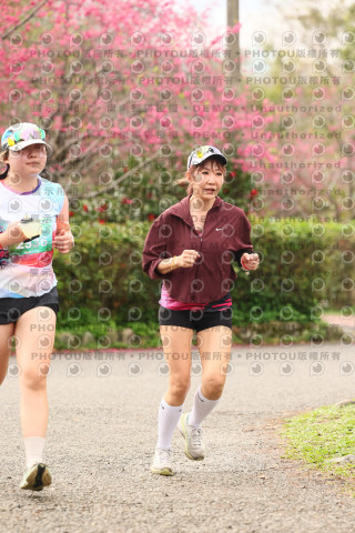 2026左岸竹東櫻花馬拉松Zhudong Sakura Marathon