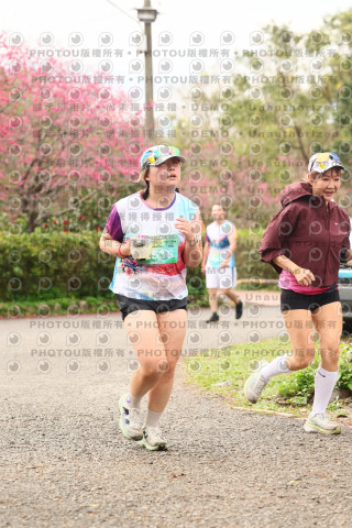2026左岸竹東櫻花馬拉松Zhudong Sakura Marathon