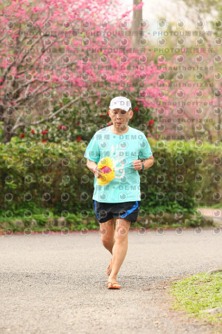 2026左岸竹東櫻花馬拉松Zhudong Sakura Marathon