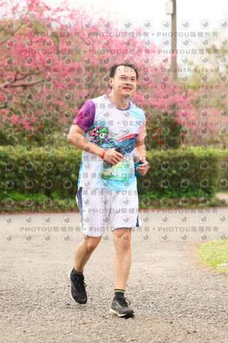 2026左岸竹東櫻花馬拉松Zhudong Sakura Marathon