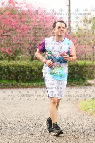 2026左岸竹東櫻花馬拉松Zhudong Sakura Marathon