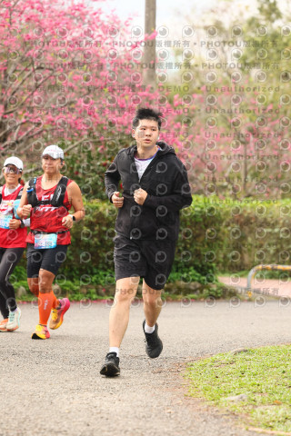 2026左岸竹東櫻花馬拉松Zhudong Sakura Marathon
