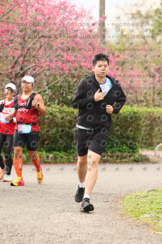 2026左岸竹東櫻花馬拉松Zhudong Sakura Marathon