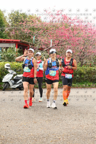 2026左岸竹東櫻花馬拉松Zhudong Sakura Marathon