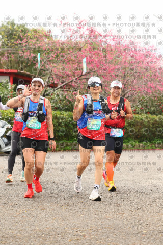 2026左岸竹東櫻花馬拉松Zhudong Sakura Marathon