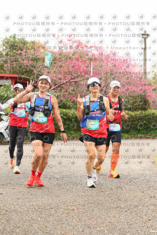 2026左岸竹東櫻花馬拉松Zhudong Sakura Marathon