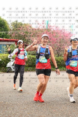 2026左岸竹東櫻花馬拉松Zhudong Sakura Marathon