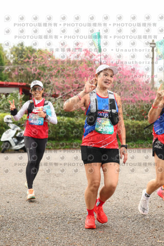 2026左岸竹東櫻花馬拉松Zhudong Sakura Marathon