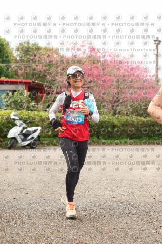 2026左岸竹東櫻花馬拉松Zhudong Sakura Marathon