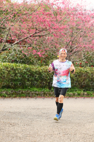 2026左岸竹東櫻花馬拉松Zhudong Sakura Marathon