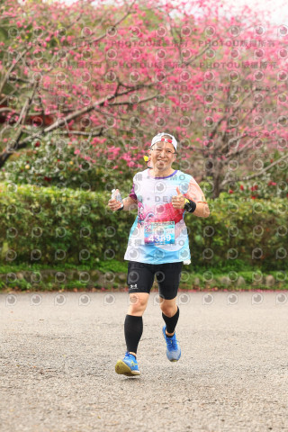 2026左岸竹東櫻花馬拉松Zhudong Sakura Marathon