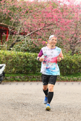 2026左岸竹東櫻花馬拉松Zhudong Sakura Marathon