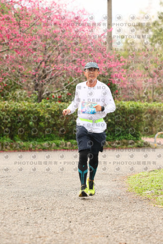 2026左岸竹東櫻花馬拉松Zhudong Sakura Marathon