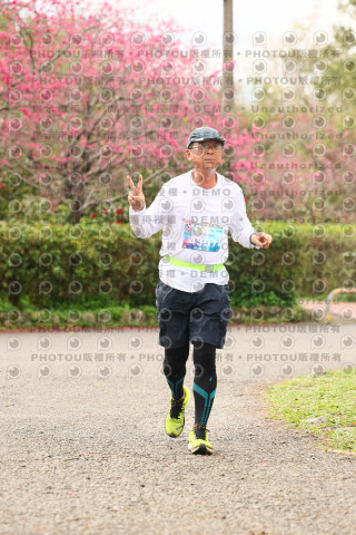2026左岸竹東櫻花馬拉松Zhudong Sakura Marathon
