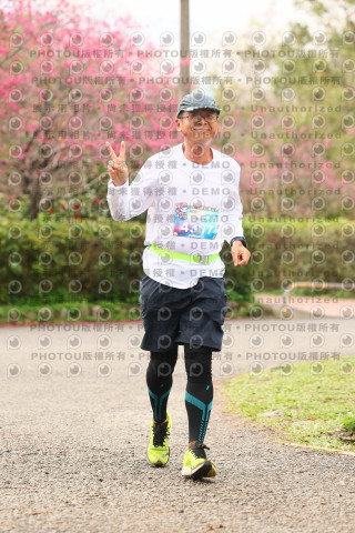 2026左岸竹東櫻花馬拉松Zhudong Sakura Marathon