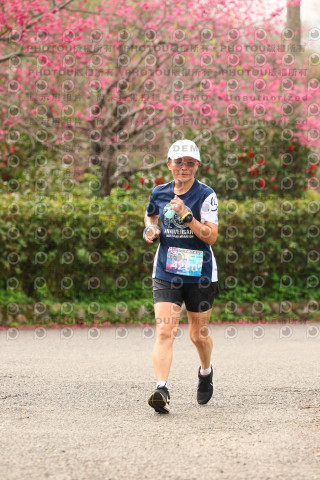 2026左岸竹東櫻花馬拉松Zhudong Sakura Marathon