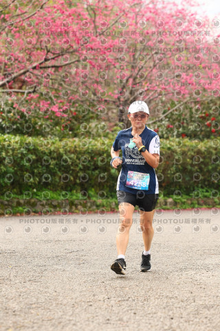2026左岸竹東櫻花馬拉松Zhudong Sakura Marathon