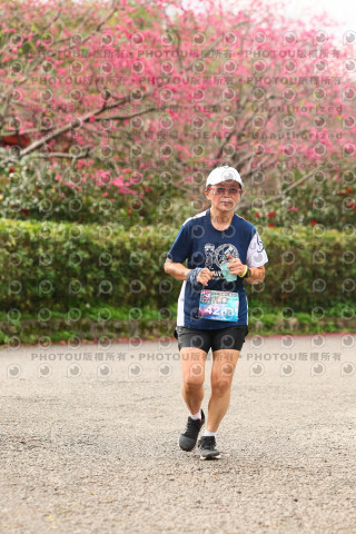 2026左岸竹東櫻花馬拉松Zhudong Sakura Marathon