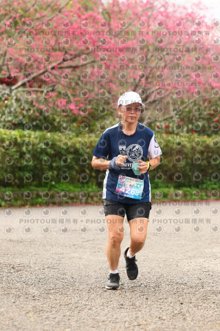 2026左岸竹東櫻花馬拉松Zhudong Sakura Marathon