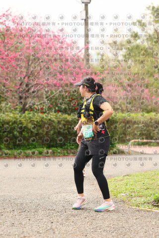 2026左岸竹東櫻花馬拉松Zhudong Sakura Marathon