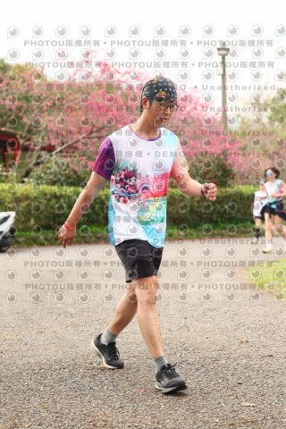 2026左岸竹東櫻花馬拉松Zhudong Sakura Marathon