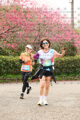 2026左岸竹東櫻花馬拉松Zhudong Sakura Marathon