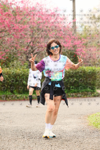 2026左岸竹東櫻花馬拉松Zhudong Sakura Marathon