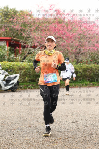 2026左岸竹東櫻花馬拉松Zhudong Sakura Marathon