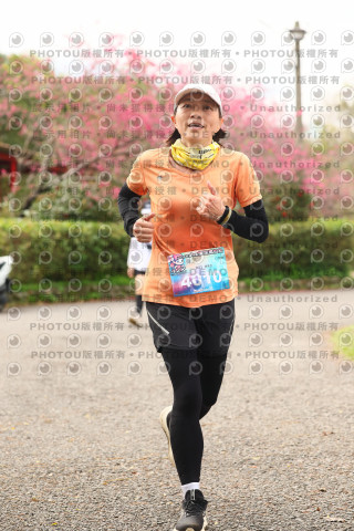 2026左岸竹東櫻花馬拉松Zhudong Sakura Marathon
