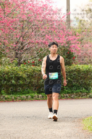 2026左岸竹東櫻花馬拉松Zhudong Sakura Marathon