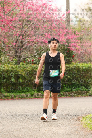2026左岸竹東櫻花馬拉松Zhudong Sakura Marathon