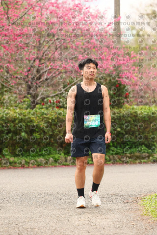 2026左岸竹東櫻花馬拉松Zhudong Sakura Marathon