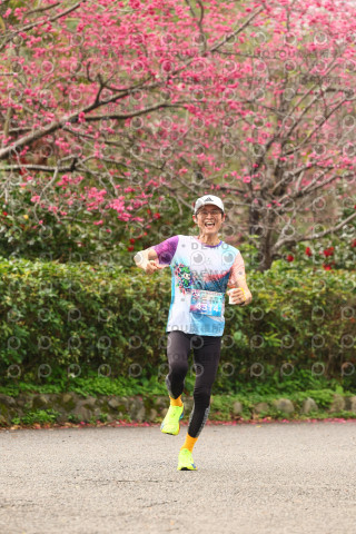 2026左岸竹東櫻花馬拉松Zhudong Sakura Marathon