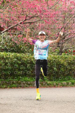 2026左岸竹東櫻花馬拉松Zhudong Sakura Marathon