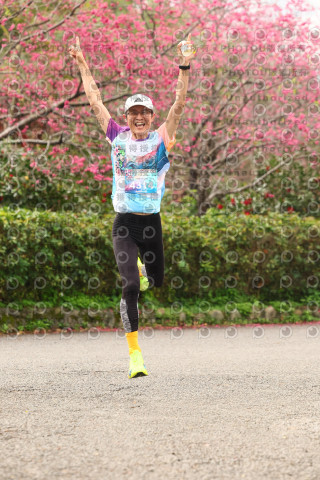 2026左岸竹東櫻花馬拉松Zhudong Sakura Marathon