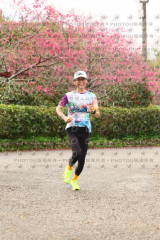 2026左岸竹東櫻花馬拉松Zhudong Sakura Marathon