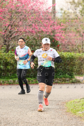 2026左岸竹東櫻花馬拉松Zhudong Sakura Marathon